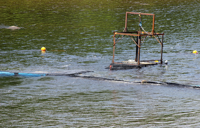 Un barrage temporaire pour capturer le saumon