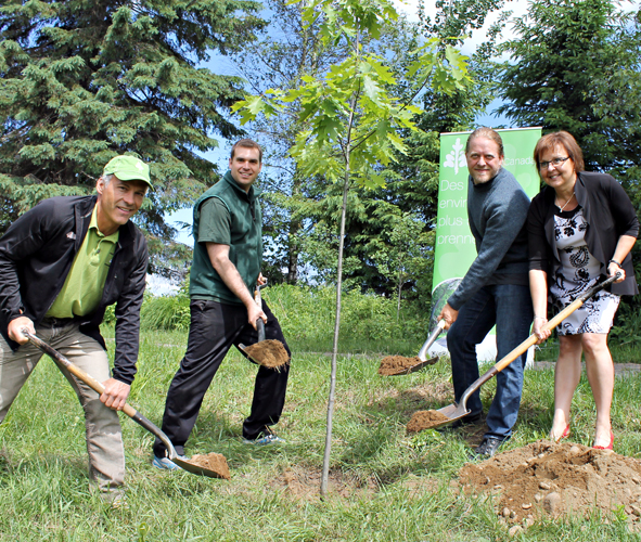 Plus de 2700 arbres plantés près de la Sainte-Anne