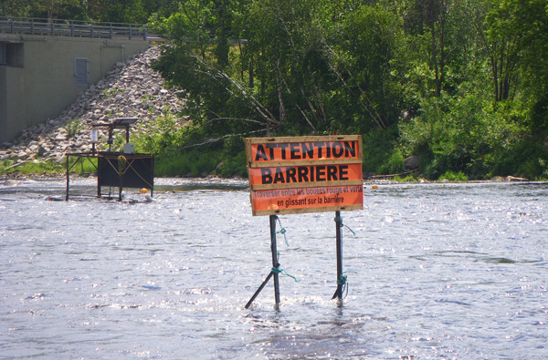 Le saumon se fait rare dans la «barrière» sur la Jacques-Cartier
