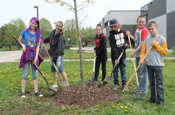 Des élèves plantent des arbres à l’école Louis-Jobin