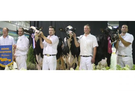 Jugements Holstein: la Ferme Petitclerc se distingue