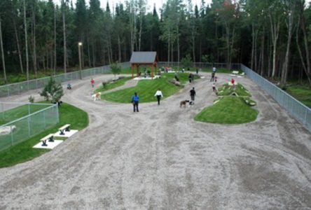 Nouveau parc canin à Sainte-Catherine