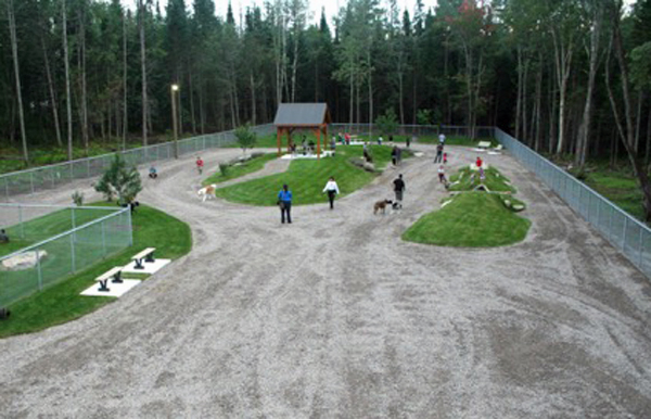 Nouveau parc canin à Sainte-Catherine