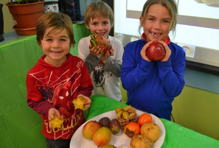 Plus de fruits et légumes avec Croque Santé Metro