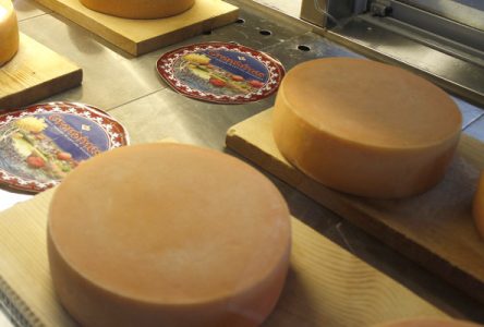 Festival des fromagers artisans du Québec