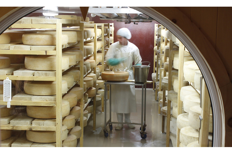 Huit fromages de Portneuf en lice pour les Caseus