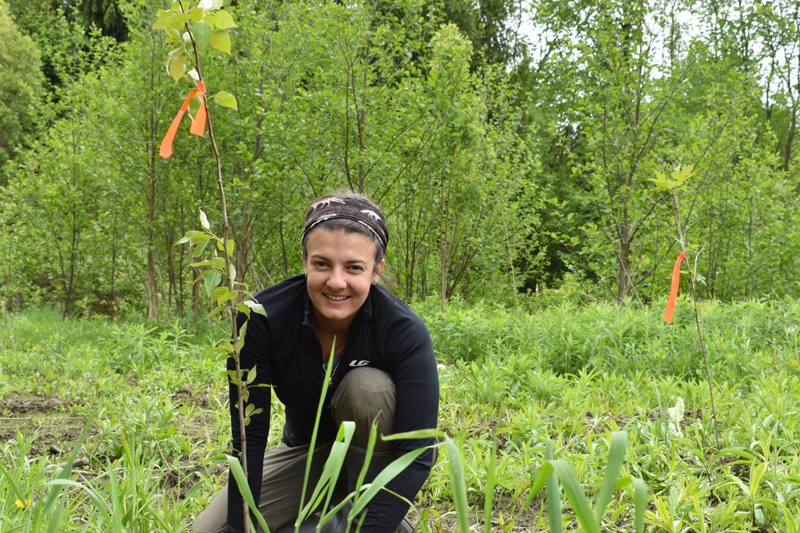 Des bénévoles plantent 250 arbres à Grondines
