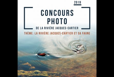 La faune en vedette au concours photo de la rivière Jacques-Cartier