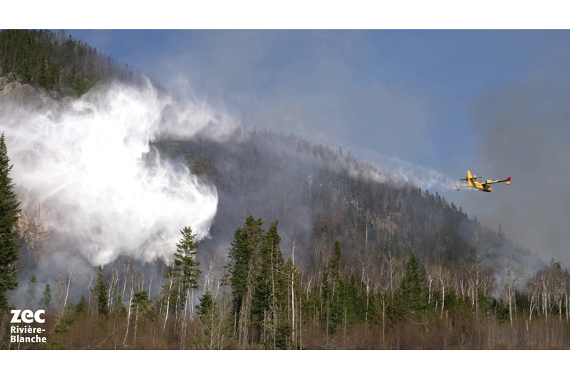 Les pompiers combattent toujours le feu de forêt dans la Zec rivière Blanche