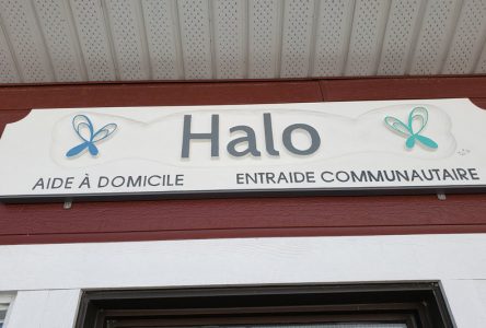 Lancement du nouveau site Internet: Le Halo fait peau neuve