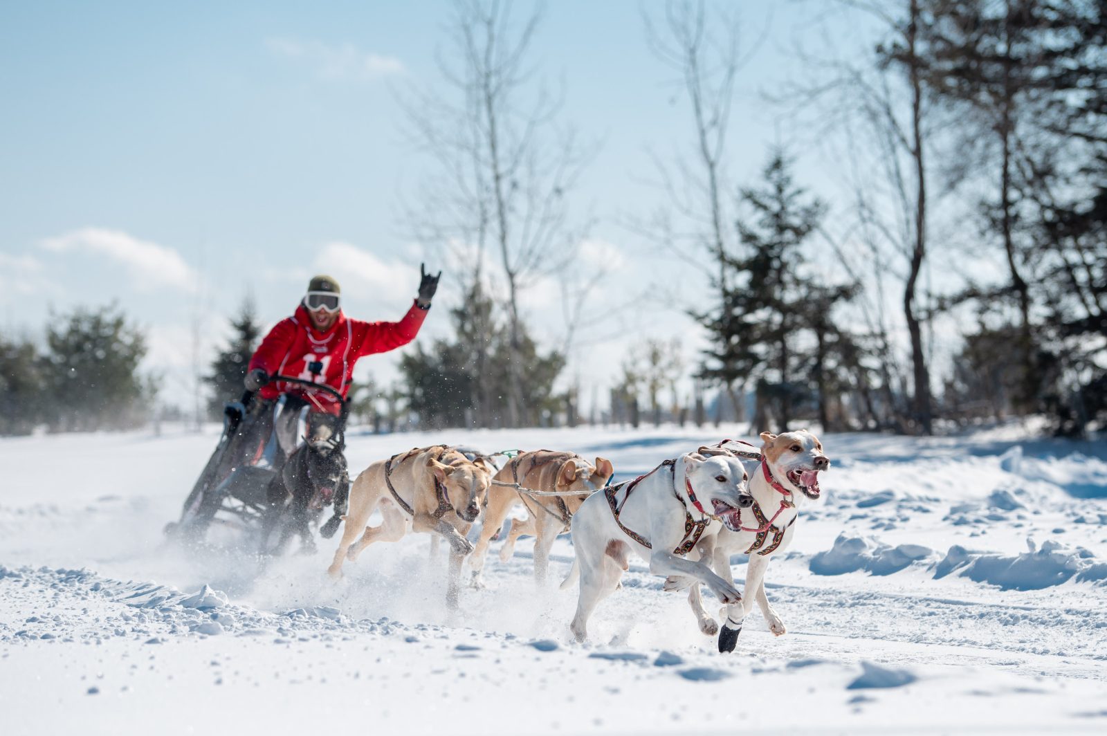 Le Défi hivernal Dion Sports – Ski Doo revient à Pont-Rouge